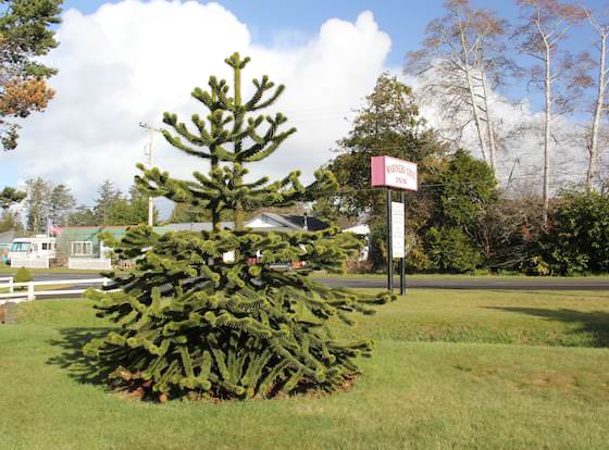 Mariner's Cove Inn allows check-in for 18 year-old guests