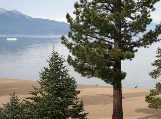 Tahoe Beach & Ski Club allows check-in for 18 year-old guests