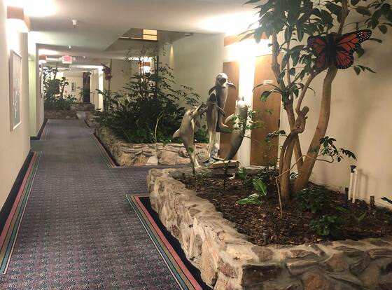 Monarch Resort allows check-in for 18 year-old guests