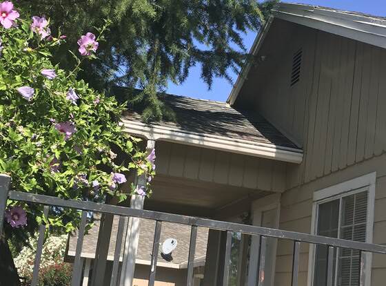 WHOLE Family - WholeVille allows check-in for 18 year-old guests
