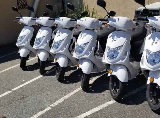 Hawg Scooters allows check-in for 18 year-old guests