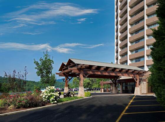 The Park Vista - a DoubleTree by Hilton Hotel - Gatlinburg allows check-in for 18 year-old guests