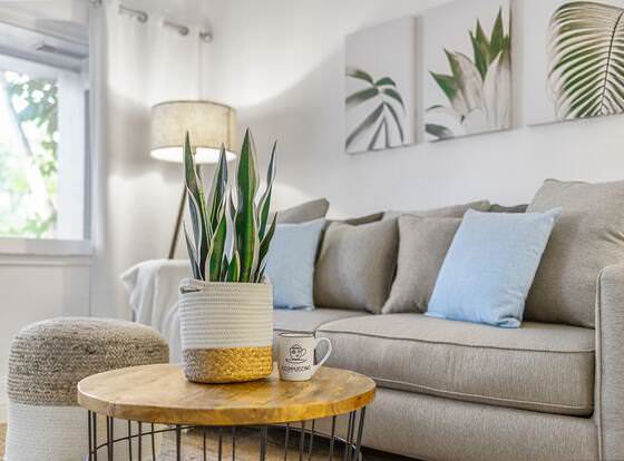 Alani Bay Premium Condos allows check-in for 18 year-old guests