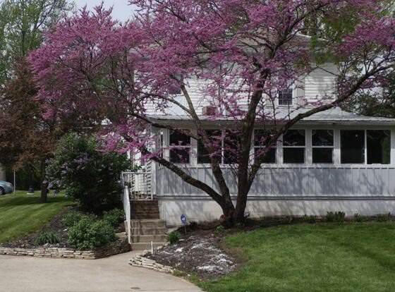 Olde towne café and inn allows check-in for 18 year-old guests