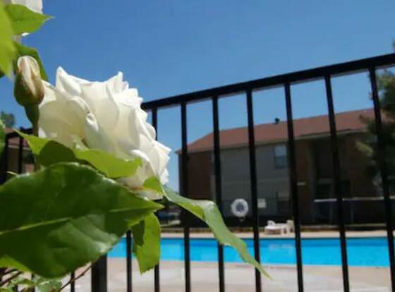 OU-2 Bedroom 1 bath next OU allows check-in for 18 year-old guests