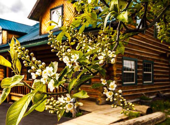 Dodge Peak Lodge allows check-in for 18 year-old guests