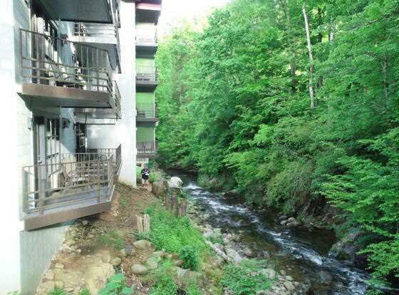 Bear Creek Inn allows check-in for 18 year-old guests