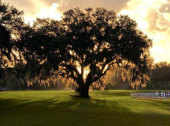 Grand Oaks Resort allows check-in for 18 year-old guests