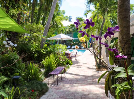 Almond Tree Inn Hotel - Adults Only allows check-in for 18 year-old guests