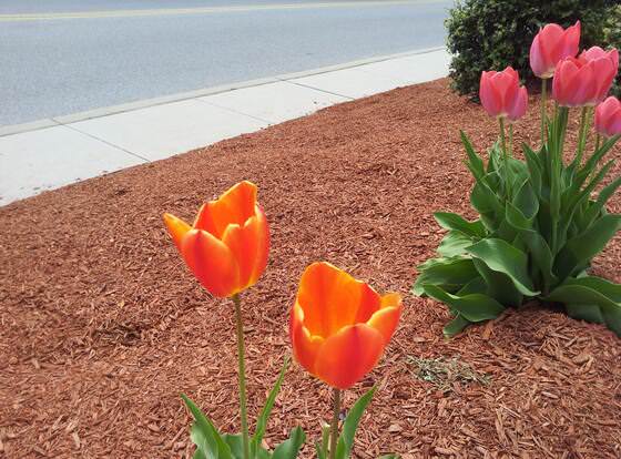 President Inn & Suites allows check-in for 18 year-old guests