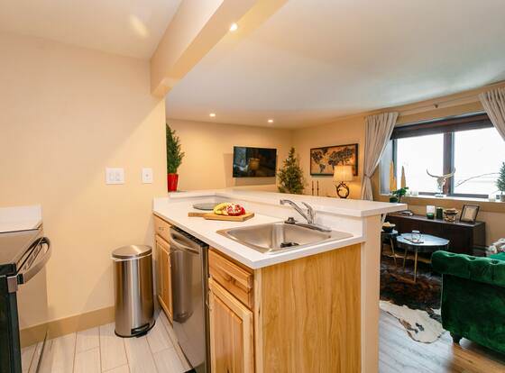 Designer Newly Renovated 1BR in Aspen allows check-in for 18 year-old guests