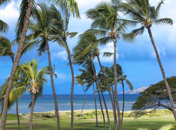Kauhale Makai - Maui Condo & Home allows check-in for 18 year-old guests