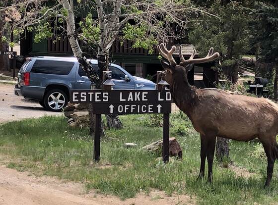 Estes Lake Lodge allows check-in for 18 year-old guests
