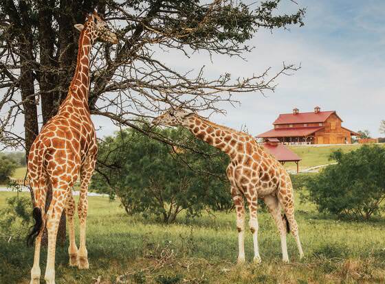Blue Hills Ranch allows check-in for 18 year-old guests