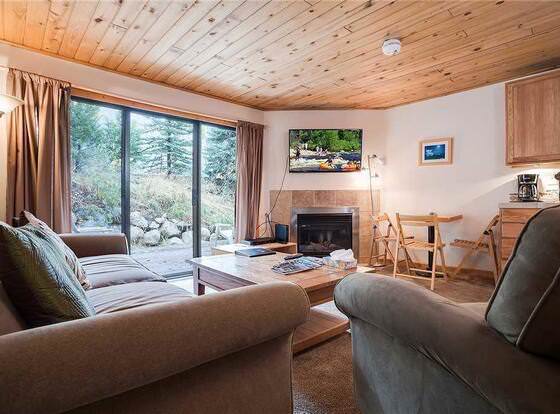 Scandinavian Lodge And Condominiums by Pioneer Ridge Mgmt allows check-in for 18 year-old guests