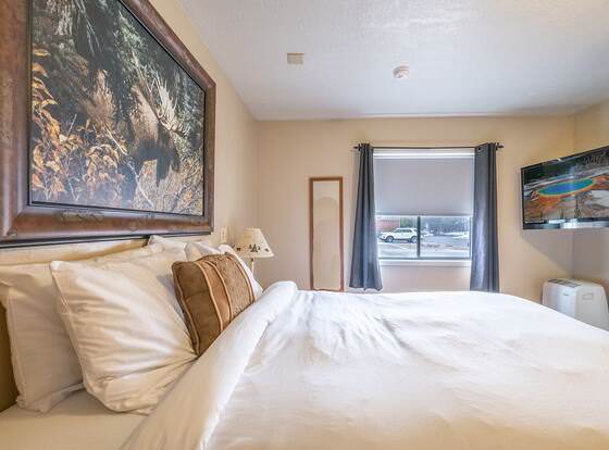 Alpine 2 allows check-in for 18 year-old guests