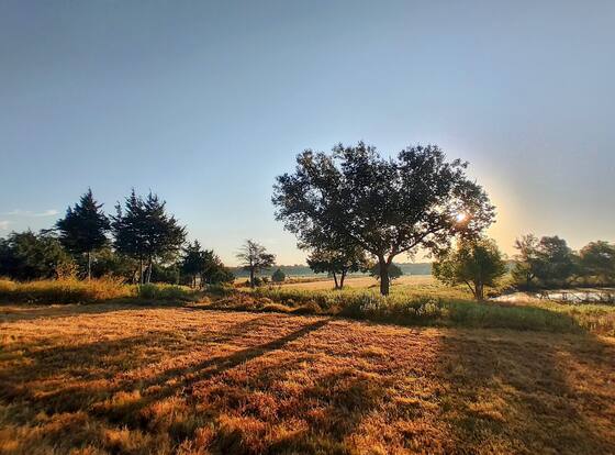 The Yellow Rose Of Texas allows check-in for 18 year-old guests