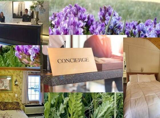 Glacier Properties allows check-in for 18 year-old guests