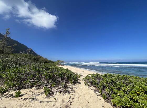 YMCA - Camp Erdman allows check-in for 18 year-old guests