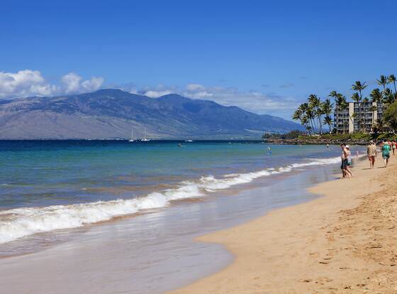 Maui Banyan - Maui Condo & Home allows check-in for 18 year-old guests