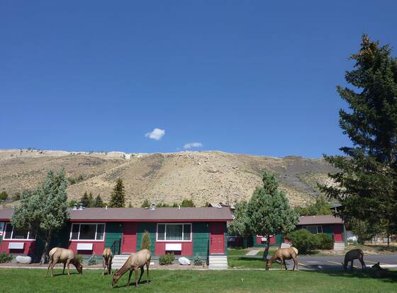 Yellowstone Gateway Inn allows check-in for 18 year-old guests