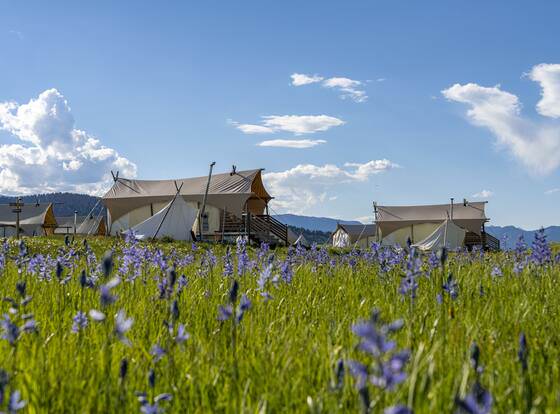 Under Canvas West Yellowstone allows check-in for 18 year-old guests