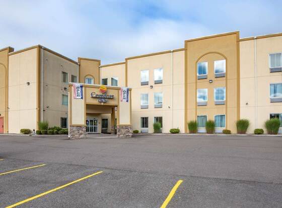 Comfort Inn Apalachin / Binghamton W Route 17 allows check-in for 18 year-old guests