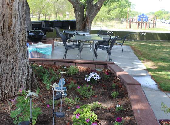 Trees Motel allows check-in for 18 year-old guests