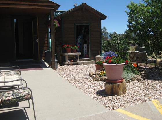 Alpine Inn of Pagosa Springs allows check-in for 18 year-old guests