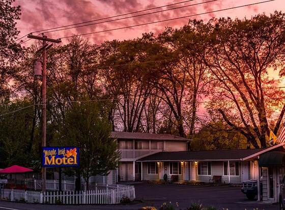 Maple Leaf Motel allows check-in for 18 year-old guests