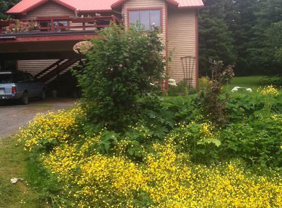 Whalesong Bed and Breakfast allows check-in for 18 year-old guests