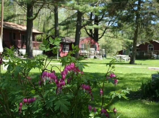 Silver Spruce Resort allows check-in for 18 year-old guests