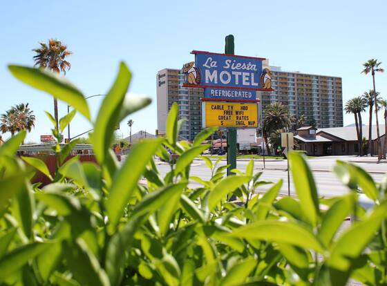 La Siesta Motel allows check-in for 18 year-old guests