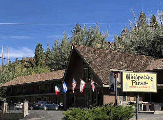 Whispering Pines allows check-in for 18 year-old guests