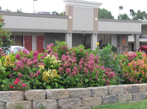 Red Carpet Inn allows check-in for 18 year-old guests