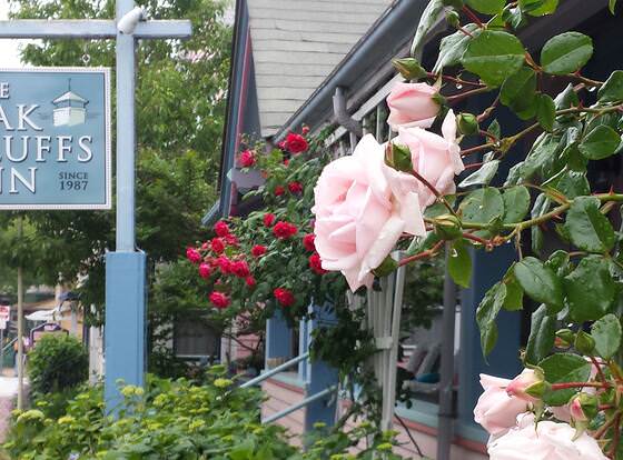 The Oak Bluffs Inn allows check-in for 18 year-old guests
