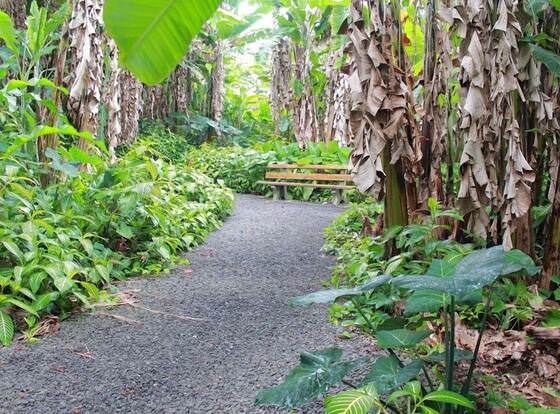 Dolphin Bay Hotel allows check-in for 18 year-old guests