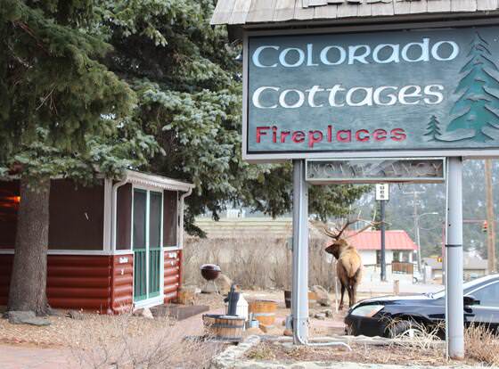 Colorado Cottages allows check-in for 18 year-old guests