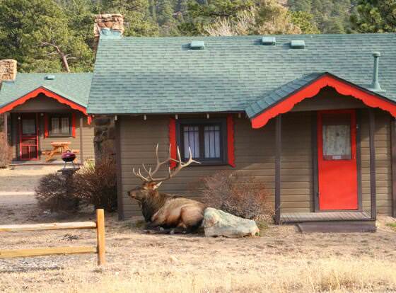 Tiny Town Cabins allows check-in for 18 year-old guests