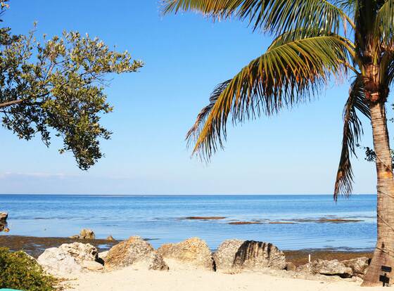 Conch Key Fishing Lodge and Marina allows check-in for 18 year-old guests