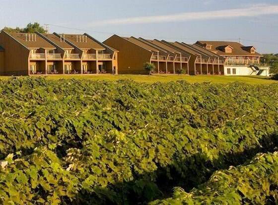 The Inn at Glenora Wine Cellars allows check-in for 18 year-old guests