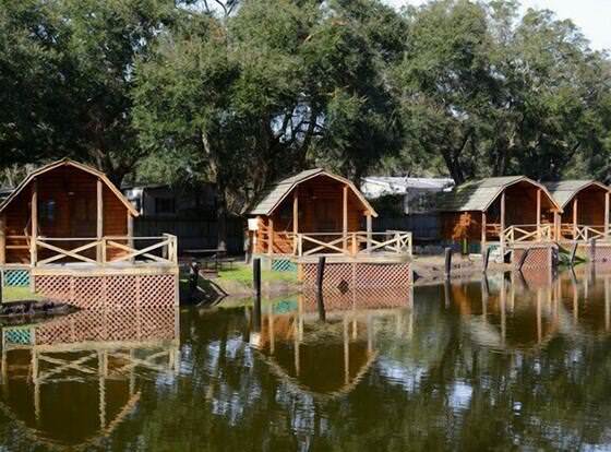 KOA St. Augustine Beach Campground allows check-in for 18 year-old guests
