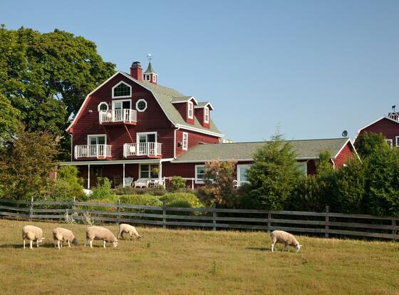 Chanticleer Guest House allows check-in for 18 year-old guests