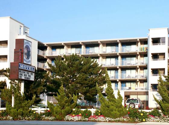 The Barefoot Mailman allows check-in for 18 year-old guests