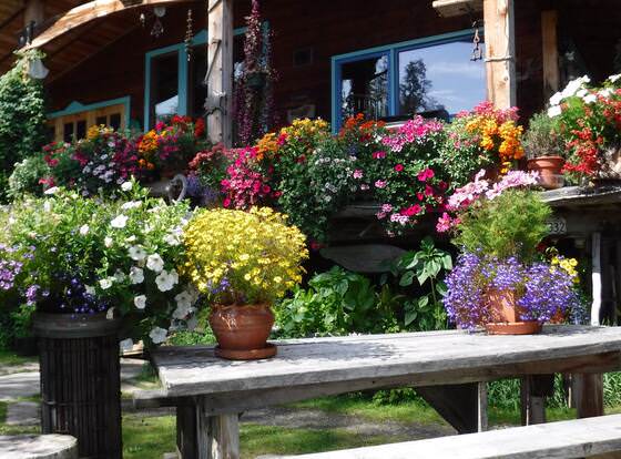 Brigitte's Bavarian B&B allows check-in for 18 year-old guests