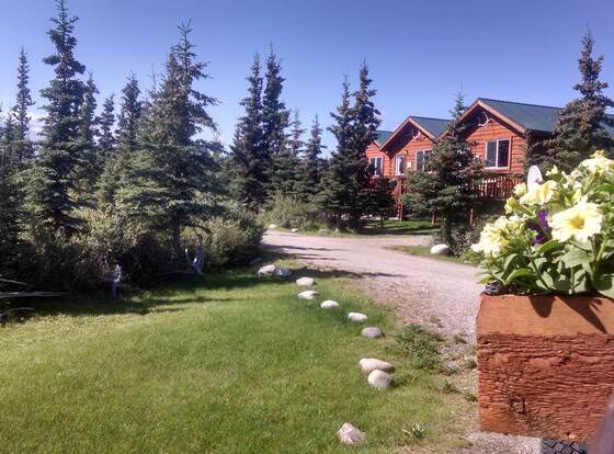 Alaska Spruce Cabin's allows check-in for 18 year-old guests