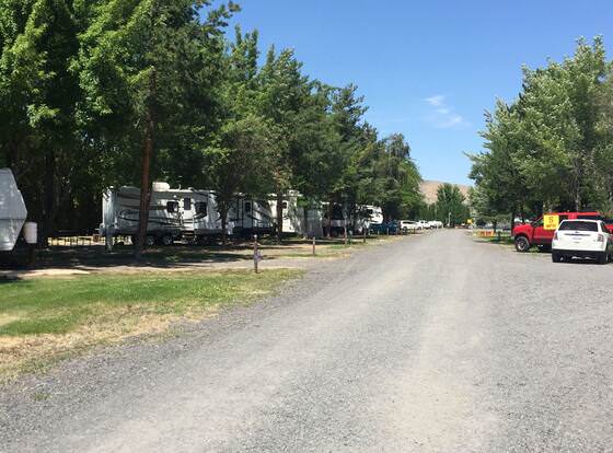 Sunny Springs Resort & Campground allows check-in for 18 year-old guests