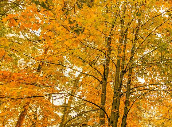 Innisfaire allows check-in for 18 year-old guests