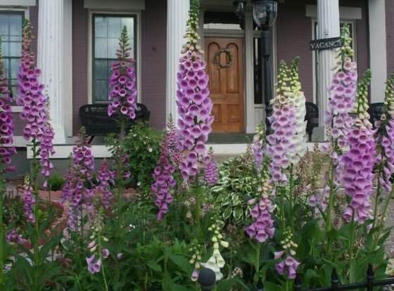 Annie Wiggins Guest House allows check-in for 18 year-old guests