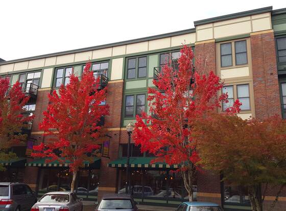 Orenco Lofts allows check-in for 18 year-old guests